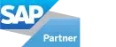 SAP DailyPay Earned Wage Access